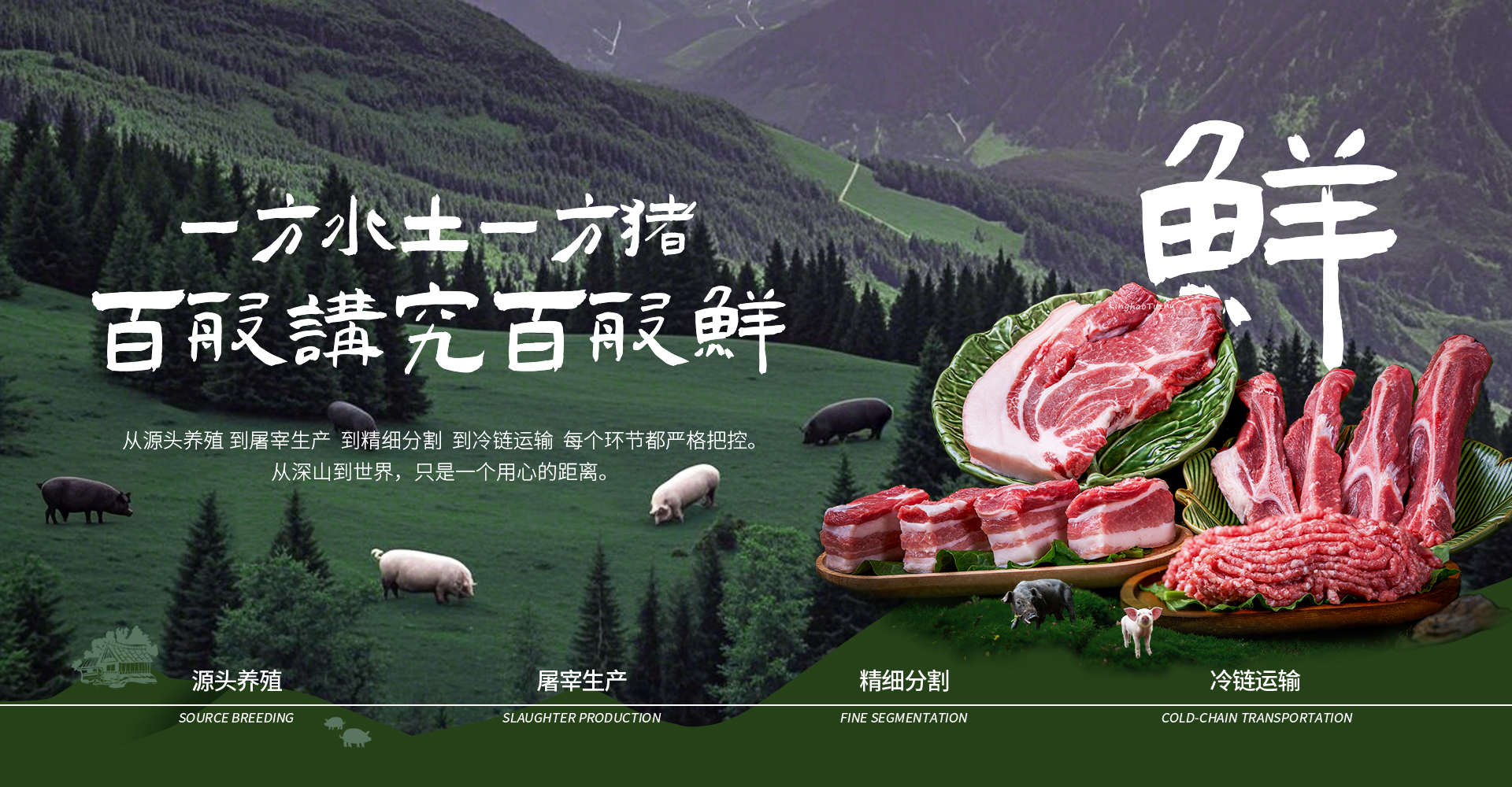 一方水土一方豬