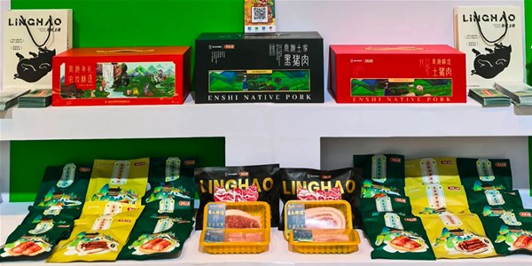 湖北日報|兼具實(shí)力與顏值 “楚小田”、零號土豬圈粉天津衛(wèi)