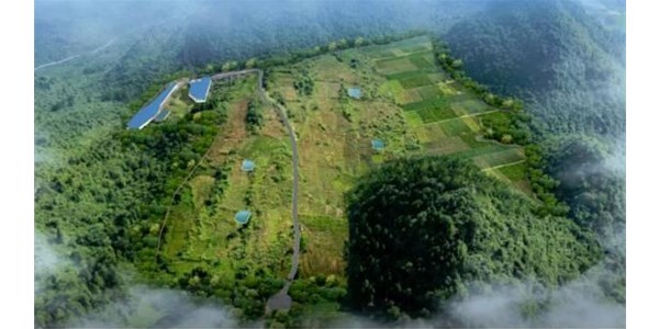 年豬示范養(yǎng)殖基地正式投欄，將帶動來鳳縣2個億生豬產(chǎn)值