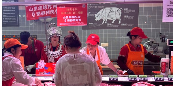 【零號土豬 相遇金凱 】