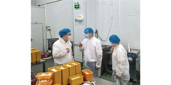 武漢市農(nóng)業(yè)農(nóng)村局赴農(nóng)發(fā)零號(hào)公司調(diào)研