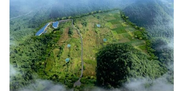 年豬示范養(yǎng)殖基地正式投欄，將帶動(dòng)來(lái)鳳縣2個(gè)億生豬產(chǎn)值